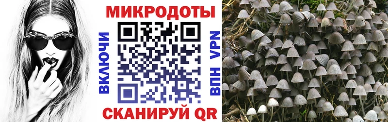 Псилоцибиновые грибы прущие грибы Уфа